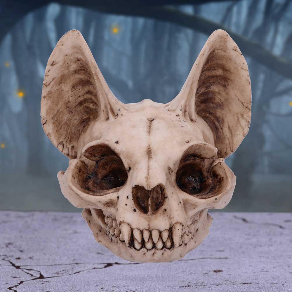 Bastets Secret Cat Skull Figurine Ornament 15cm 5
