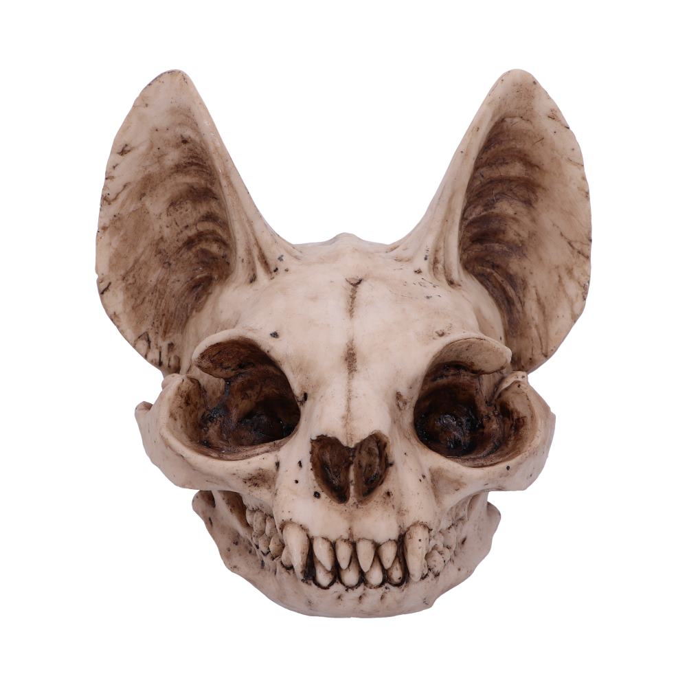 Bastets Secret Cat Skull Figurine Ornament 15cm 1