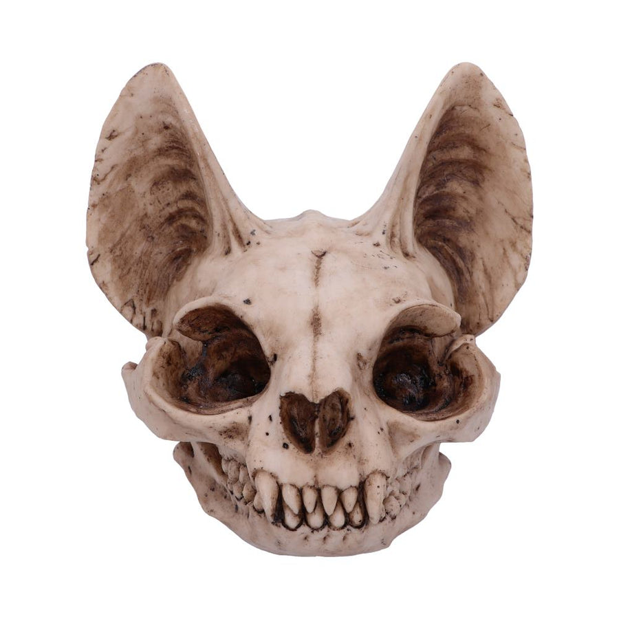 Bastets Secret Cat Skull Figurine Ornament 15cm 1