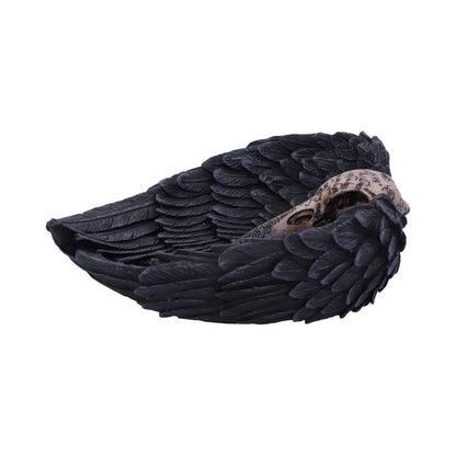 Edgar Allen Poes Nevermore Raven Skull Trinket Holder Jewellery Dish 17cm 2