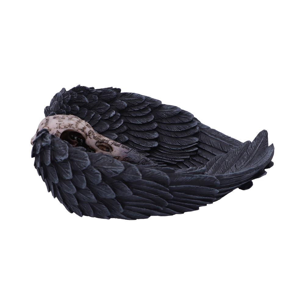 Edgar Allen Poes Nevermore Raven Skull Trinket Holder Jewellery Dish 17cm 4