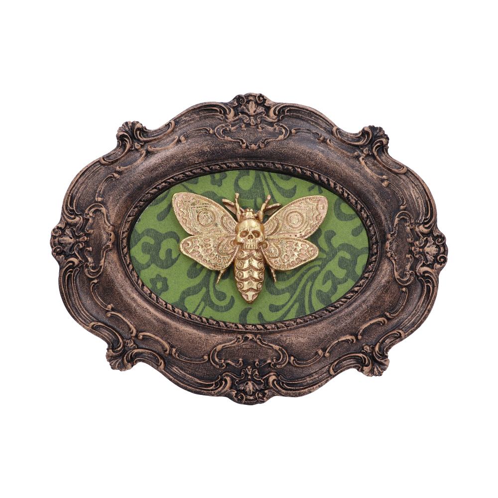 Moth Macabre Baroque Framed Deaths Head Wall Plaque 22.3cm 1