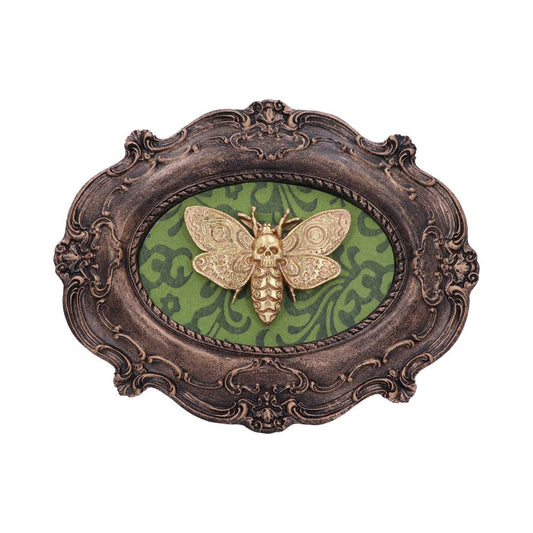 Moth Macabre Baroque Framed Deaths Head Wall Plaque 22.3cm 1