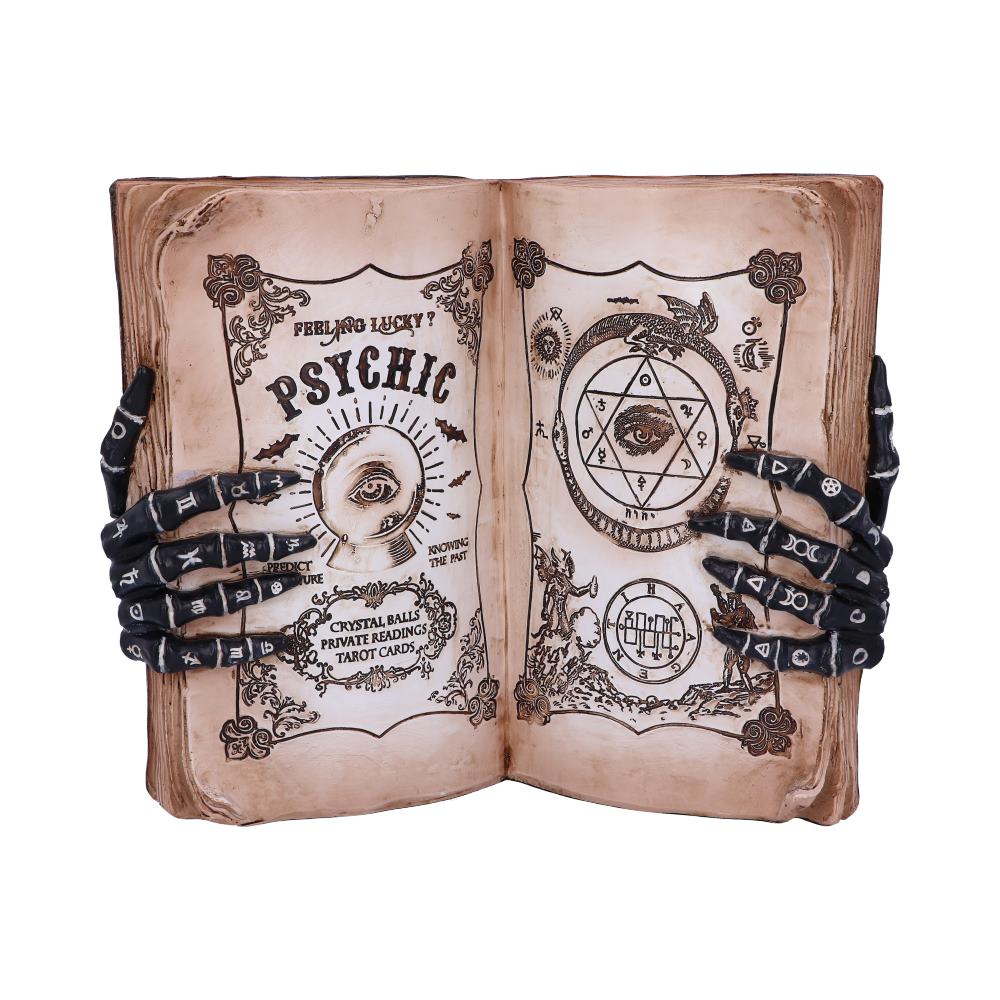 Psychic Compendium Palmists Grimoire Figurine 1