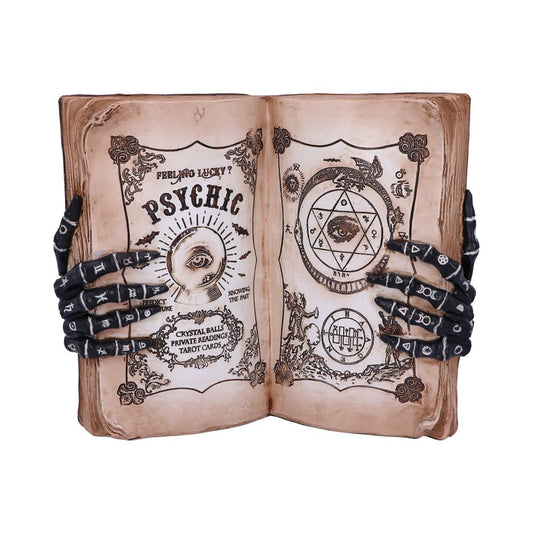 Psychic Compendium Palmists Grimoire Figurine 1