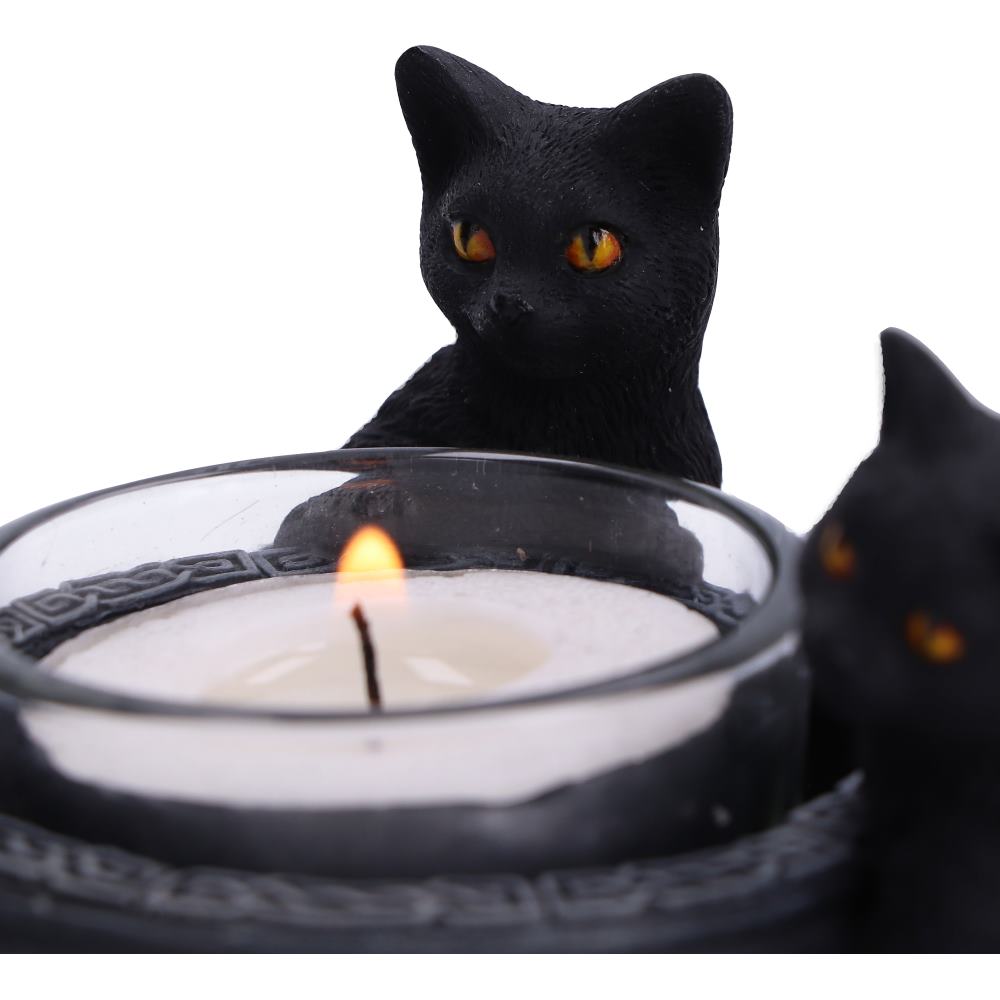Familiar Trio Cat Tea Light Holder 10cm 6