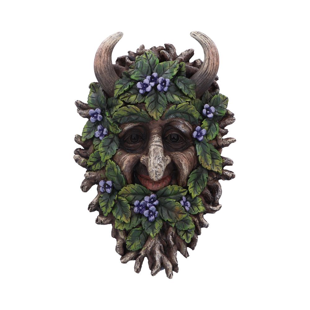 Alder Wall Mounted Tree Spirit 20.2cm 1