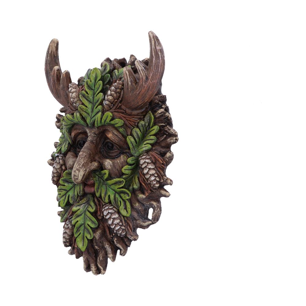 Bryn Wall Mounted Tree Spirit 20.8cm 2