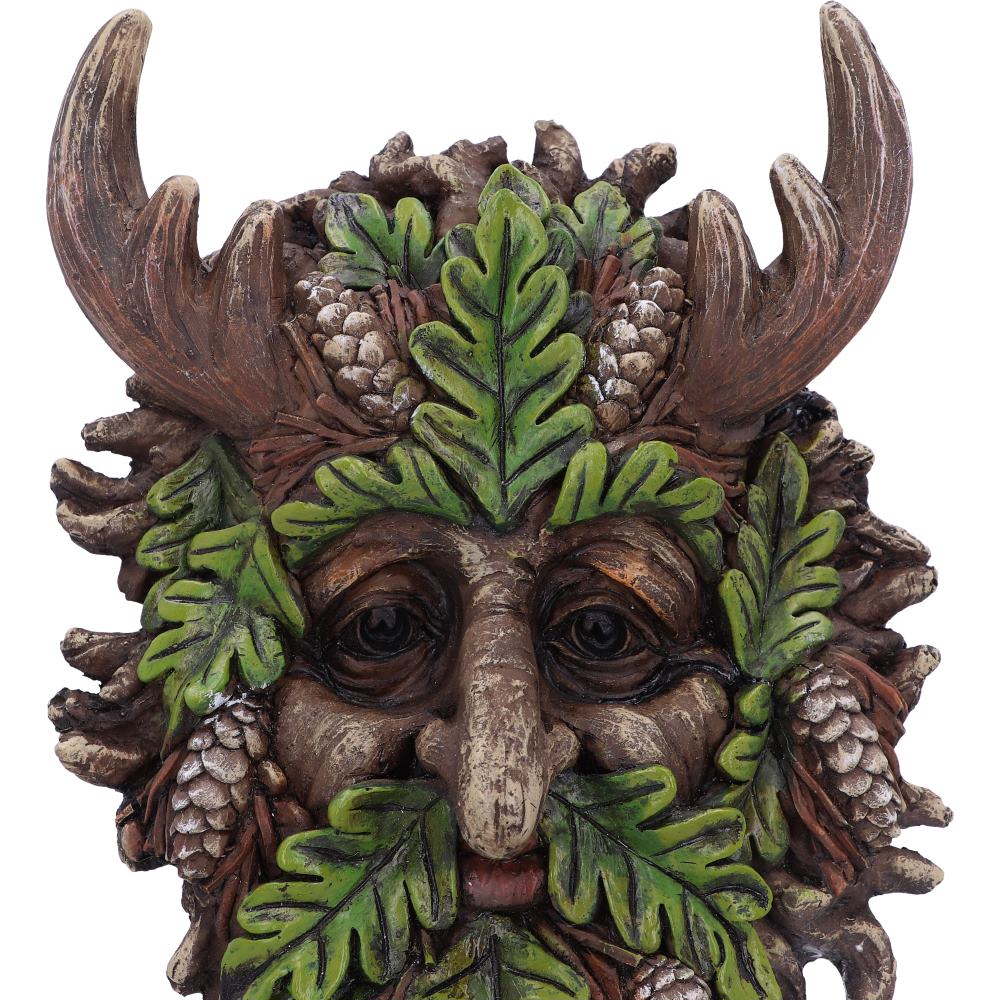 Bryn Wall Mounted Tree Spirit 20.8cm 5