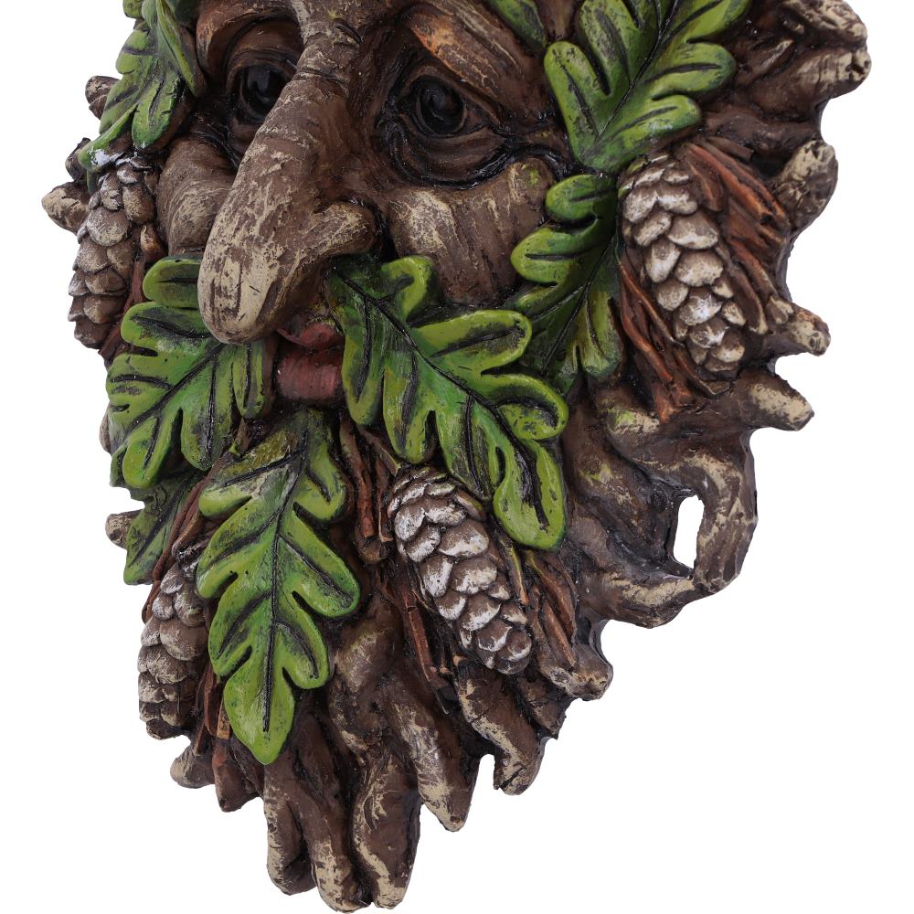 Bryn Wall Mounted Tree Spirit 20.8cm 6