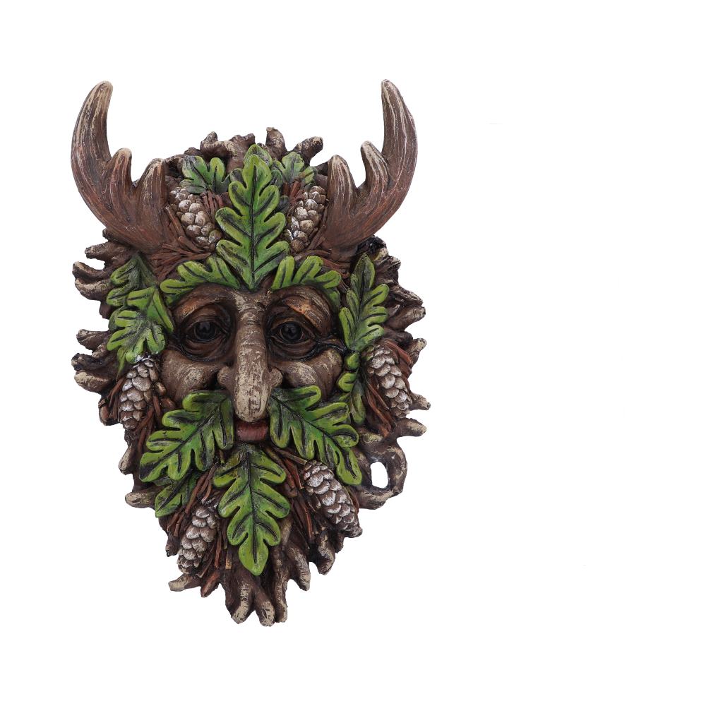 Bryn Wall Mounted Tree Spirit 20.8cm 1