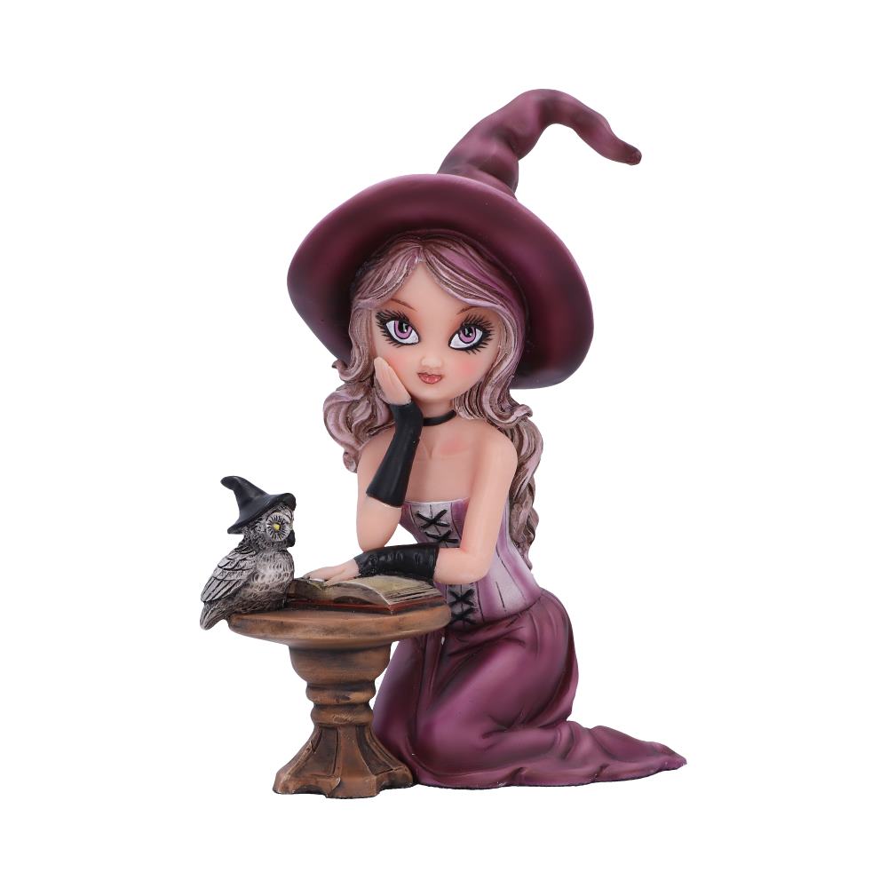 Agatha Witch Figurine 15cm Polyresin Statue 1