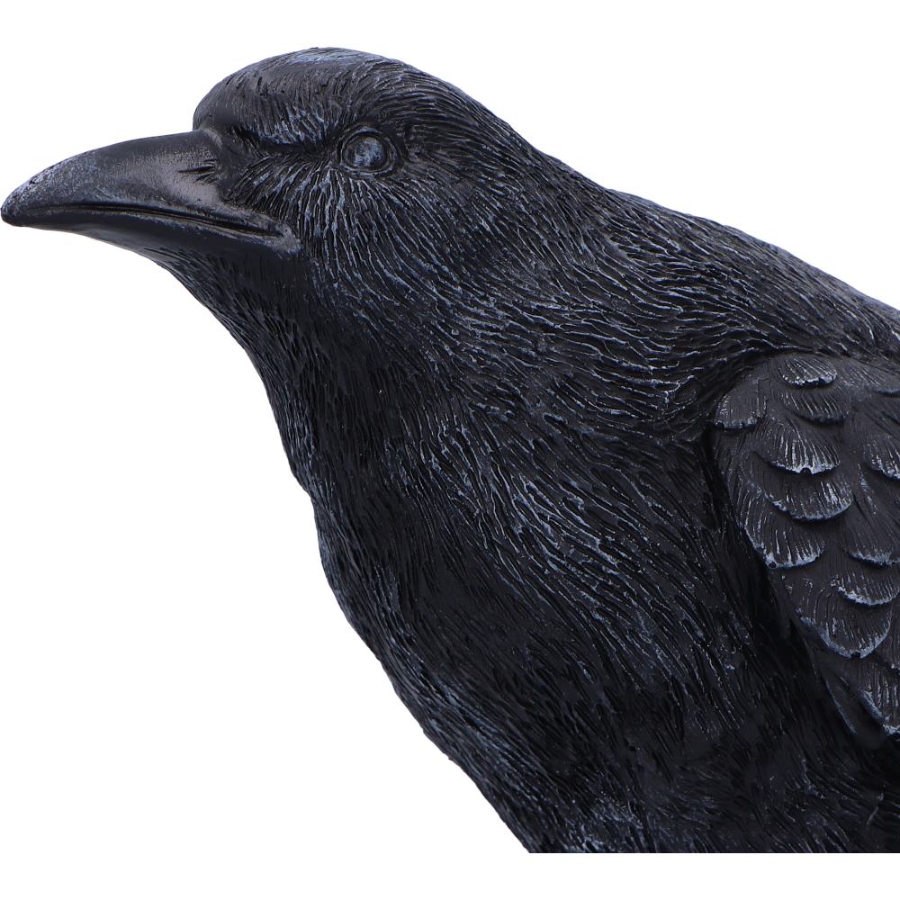 Raven Messenger Figurine 25cm 5