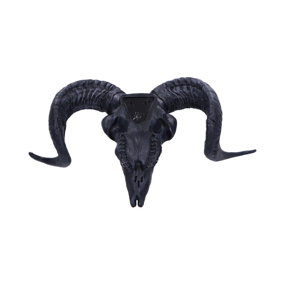 Baphomets Veneration Skull Wall Plaque 53cm 3
