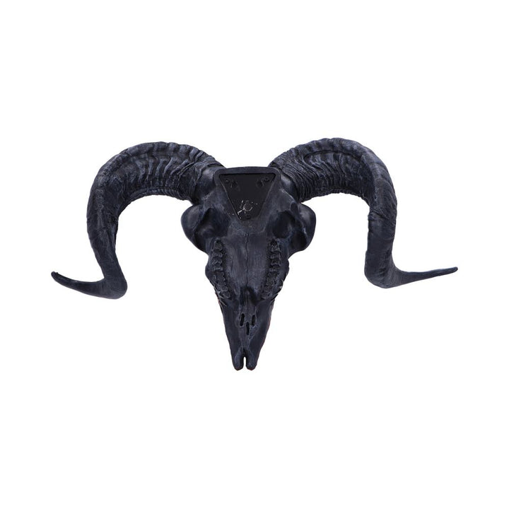 Baphomets Veneration Skull Wall Plaque 53cm 3