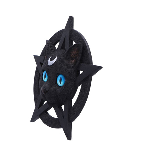 Feline Worship Cat Pentagram Wall Plaque 25.5cm 2