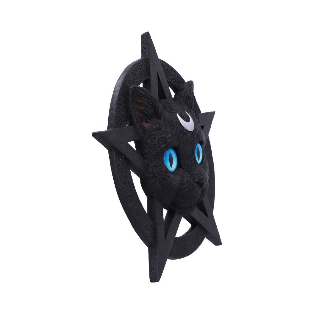 Feline Worship Cat Pentagram Wall Plaque 25.5cm 4