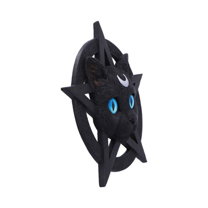 Feline Worship Cat Pentagram Wall Plaque 25.5cm 4