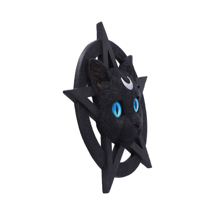 Feline Worship Cat Pentagram Wall Plaque 25.5cm 4