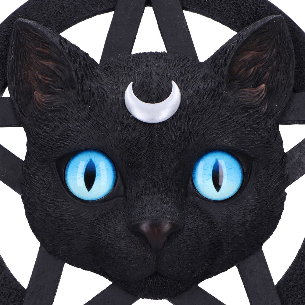 Feline Worship Cat Pentagram Wall Plaque 25.5cm 5