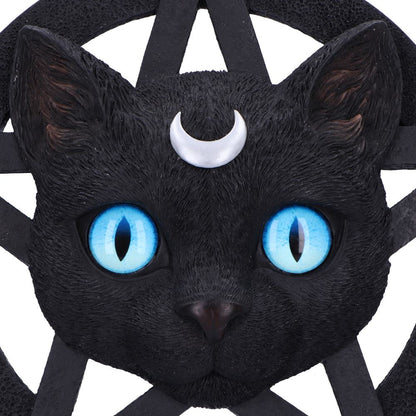 Feline Worship Cat Pentagram Wall Plaque 25.5cm 5