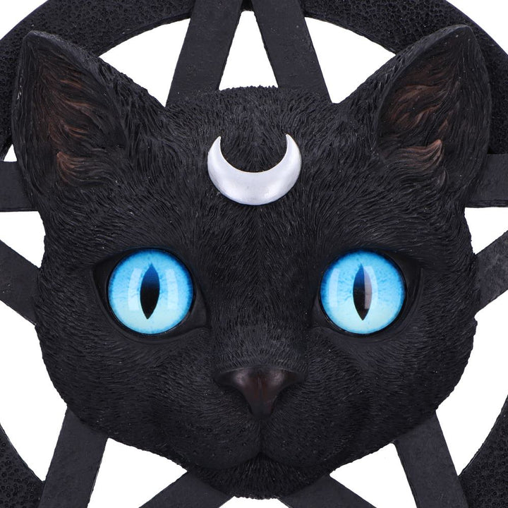 Feline Worship Cat Pentagram Wall Plaque 25.5cm 5