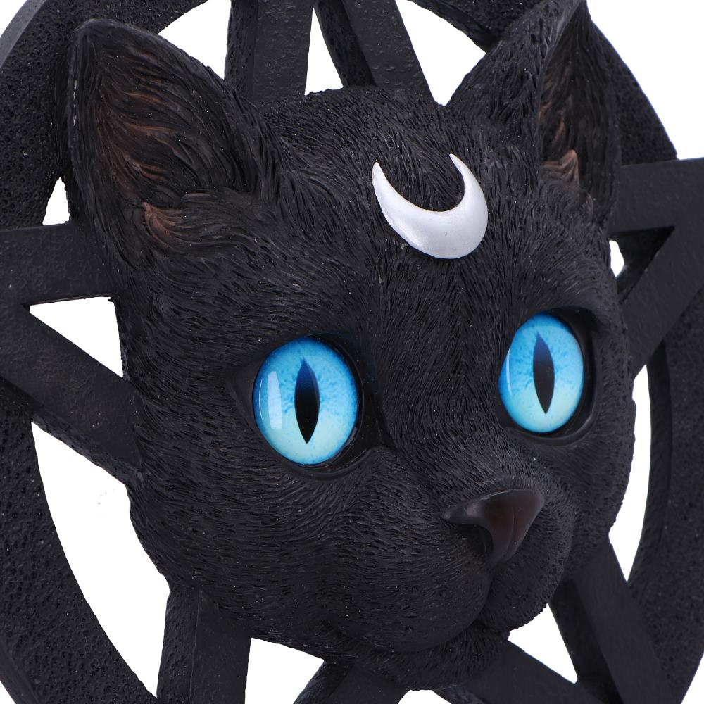 Feline Worship Cat Pentagram Wall Plaque 25.5cm 6