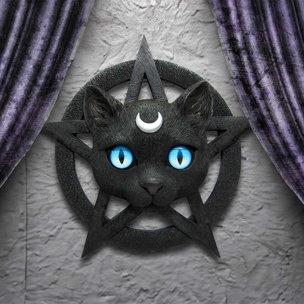 Feline Worship Cat Pentagram Wall Plaque 25.5cm 7