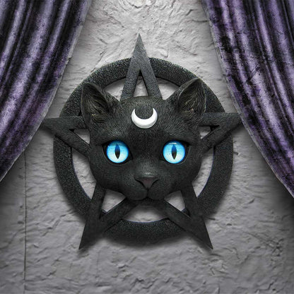 Feline Worship Cat Pentagram Wall Plaque 25.5cm 7