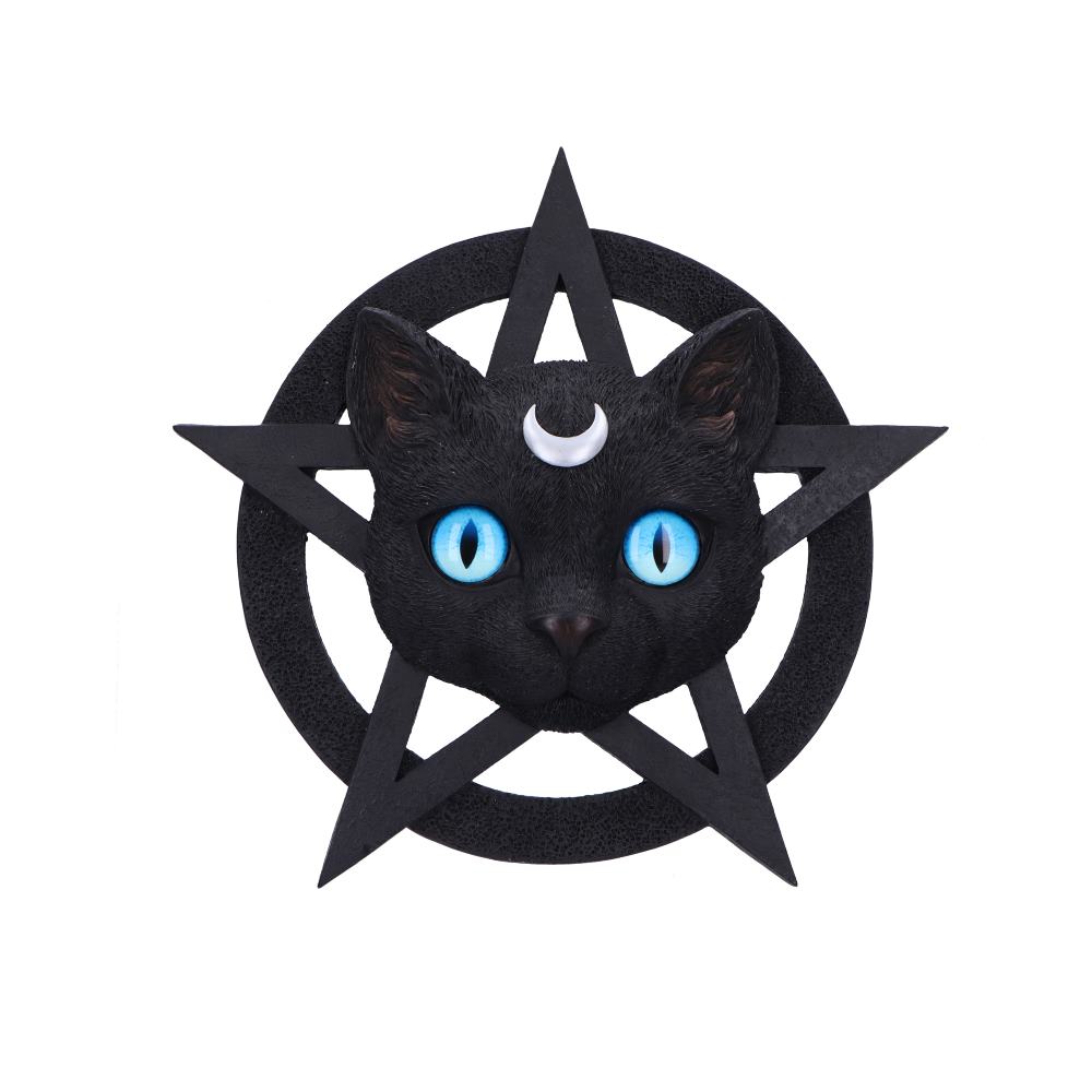 Feline Worship Cat Pentagram Wall Plaque 25.5cm 1