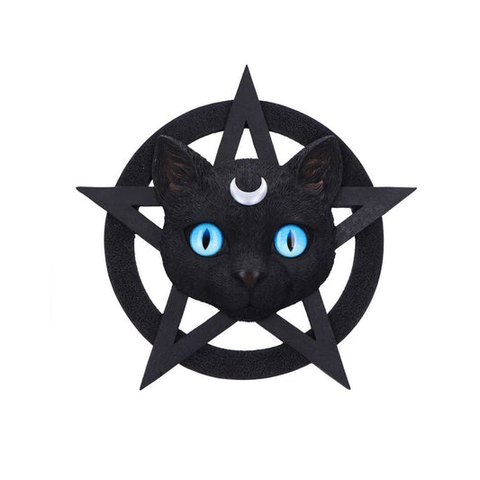 Feline Worship Cat Pentagram Wall Plaque 25.5cm 1