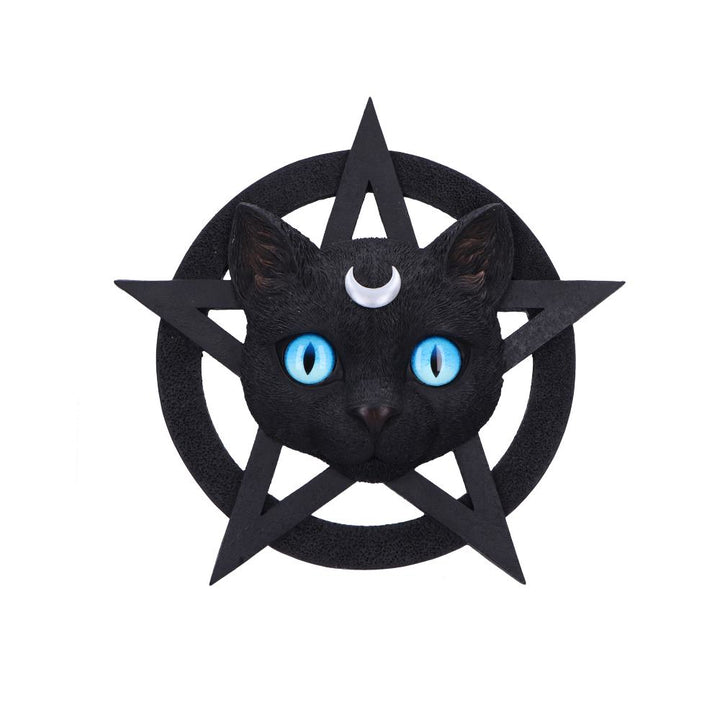 Feline Worship Cat Pentagram Wall Plaque 25.5cm 1