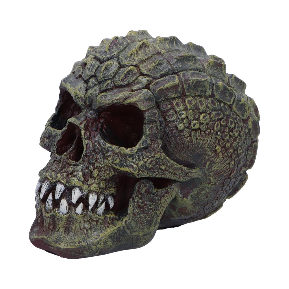 Reptillian Scale Skull 17cm 2