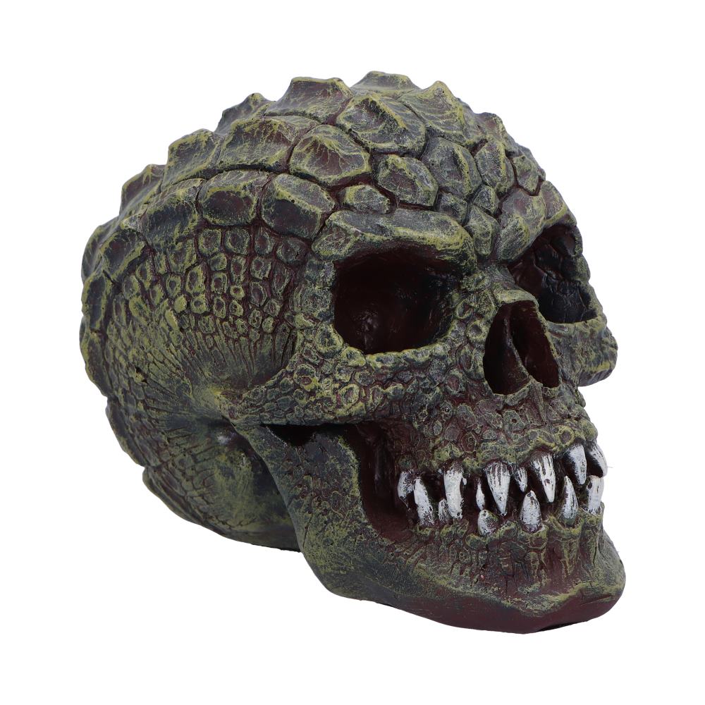 Reptillian Scale Skull 17cm 4