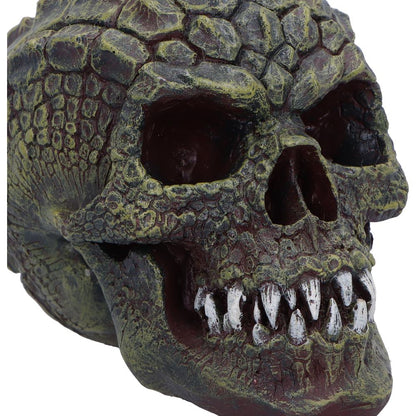 Reptillian Scale Skull 17cm 5