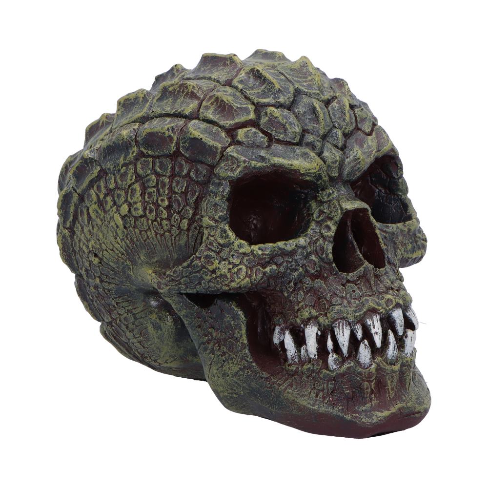 Reptillian Scale Skull 17cm 1