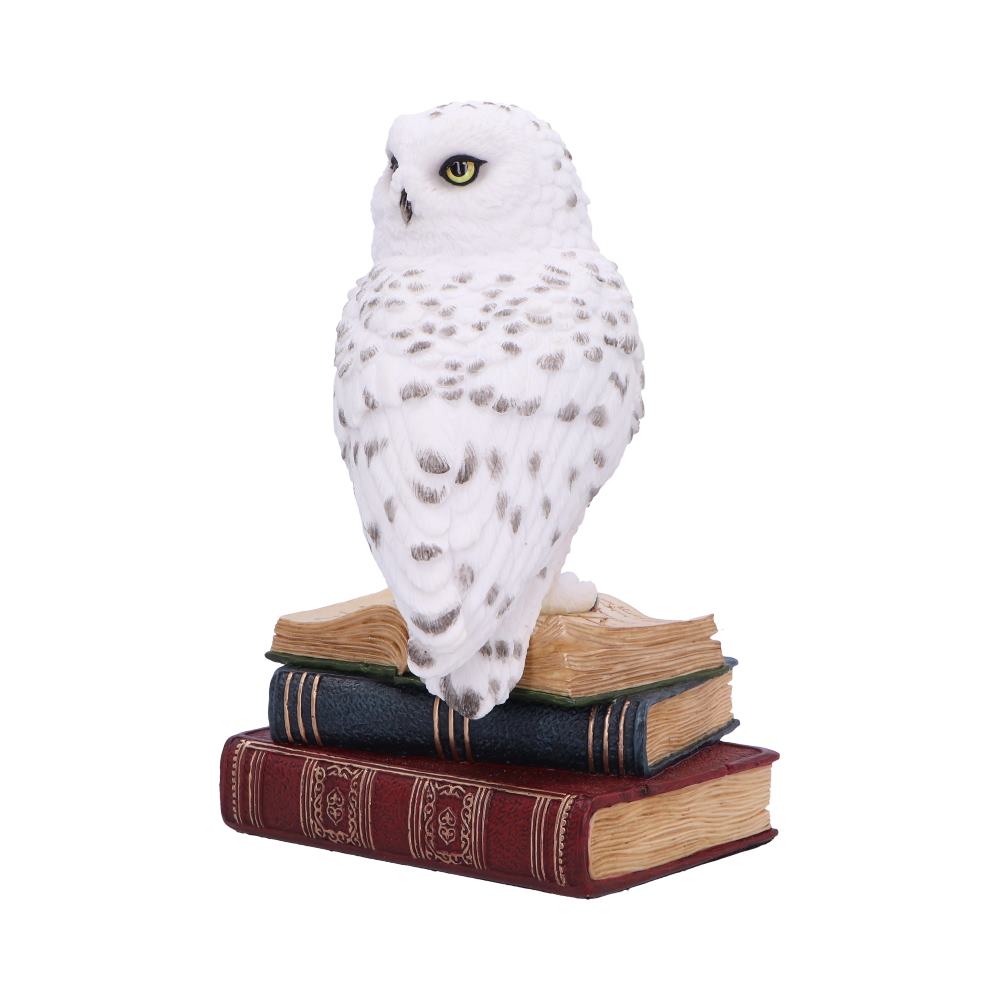 Library of Wisdom White Owl Figurine 17cm 2