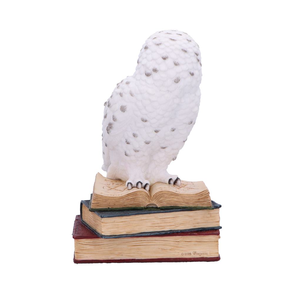 Library of Wisdom White Owl Figurine 17cm 3
