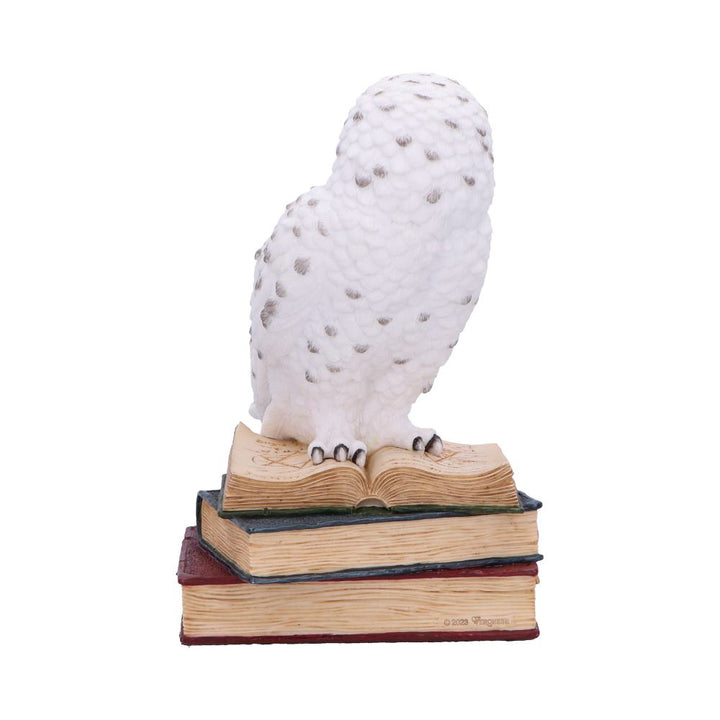 Library of Wisdom White Owl Figurine 17cm 3