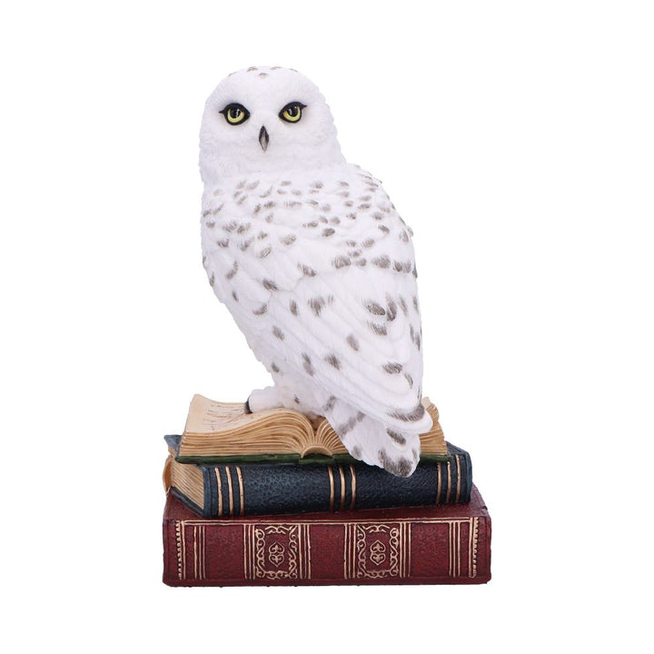 Library of Wisdom White Owl Figurine 17cm