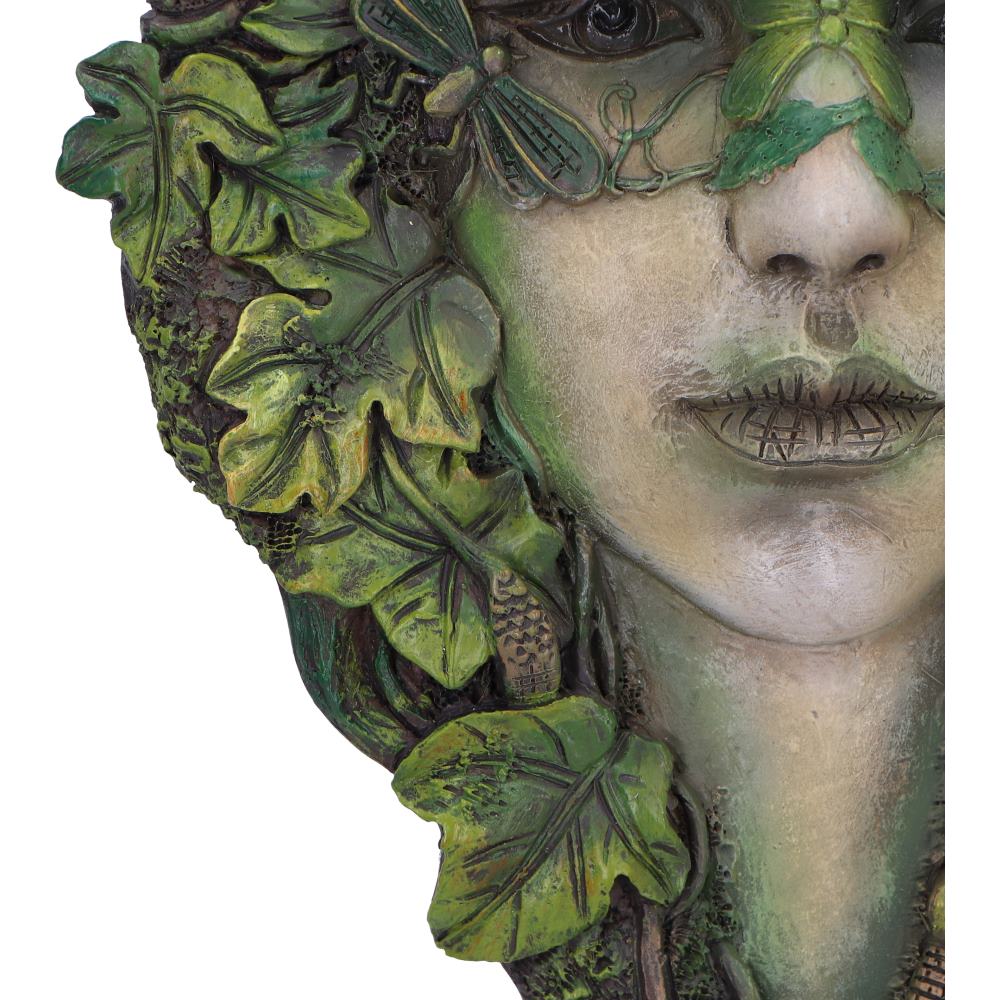 Fleur Tree Spirit Wall Plaque 25.5cm 6