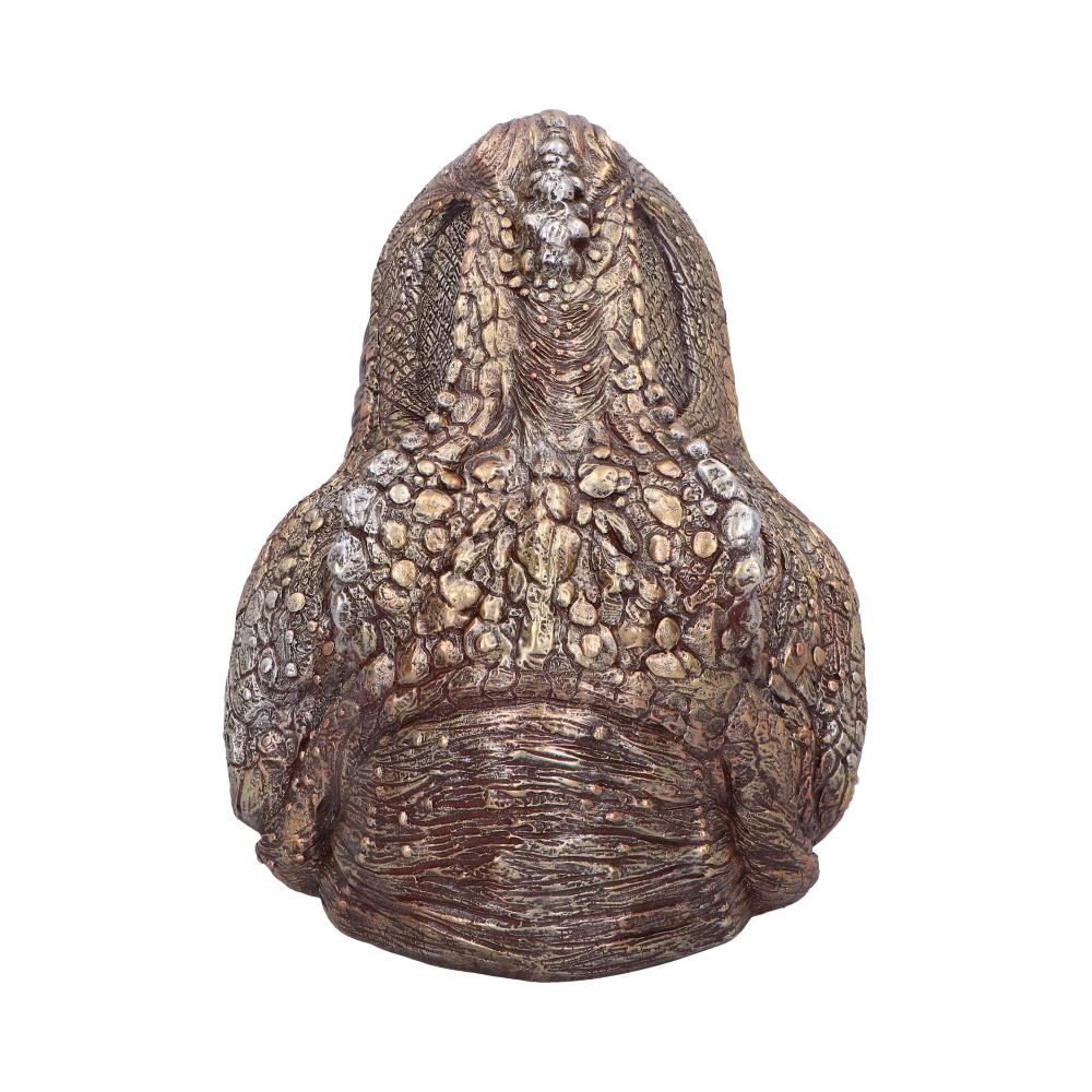 Metallic Tyrannosaurus Rex Head Trinket Dish 24cm 3