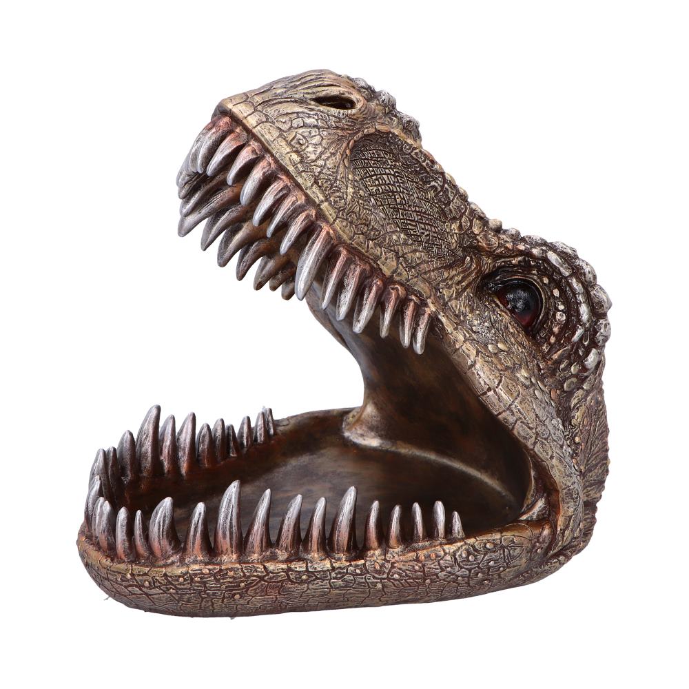 Metallic Tyrannosaurus Rex Head Trinket Dish 24cm 4