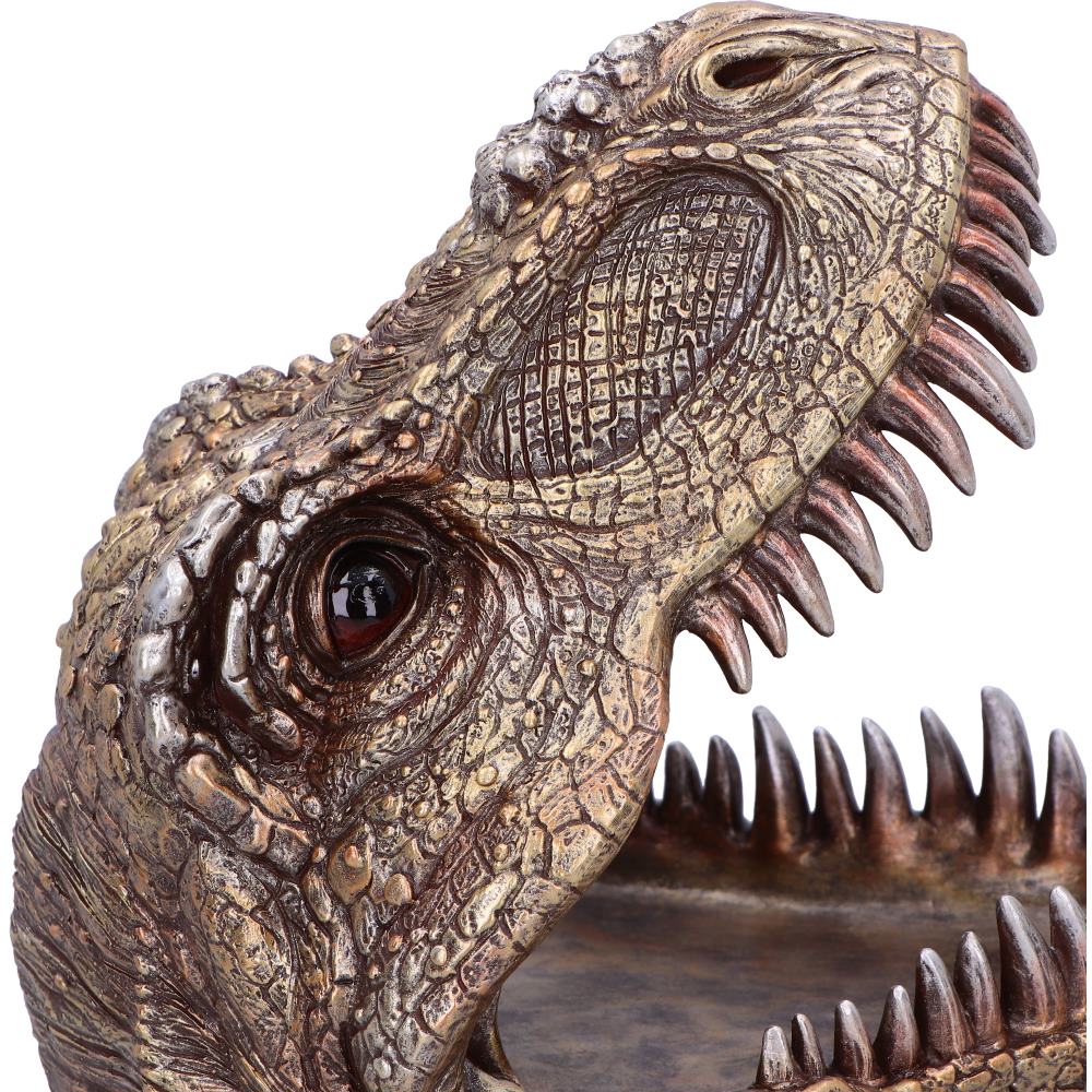 Metallic Tyrannosaurus Rex Head Trinket Dish 24cm 5
