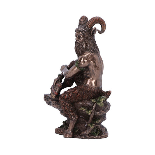 Pan Medium Bronze Figurine 15cm 2