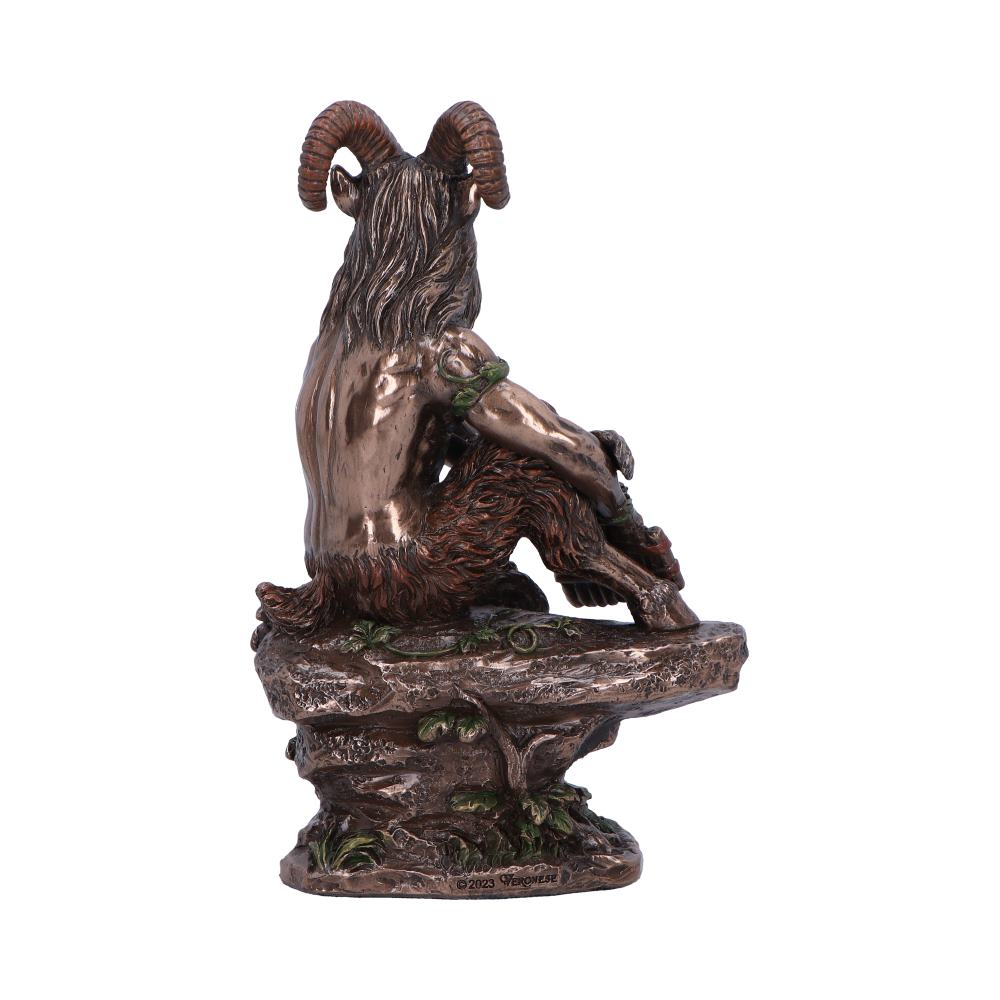 Pan Medium Bronze Figurine 15cm 3
