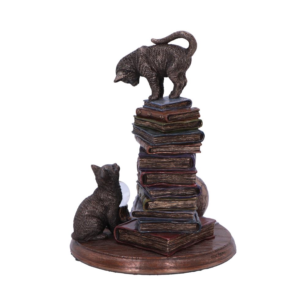 Feline Scholars Bronze Cat Ornament 18cm 3