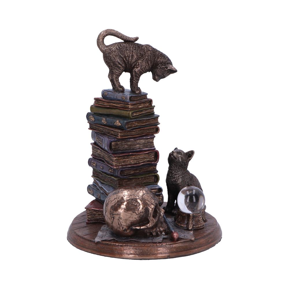 Feline Scholars Bronze Cat Ornament 18cm 4