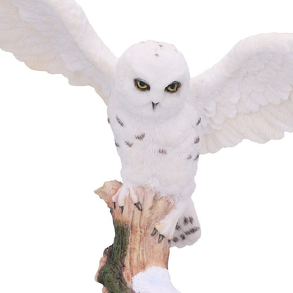 Snowfall Majestic Owl In Winter Scene 18cm 5