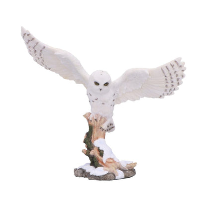 Snowfall Majestic Owl In Winter Scene 18cm 1